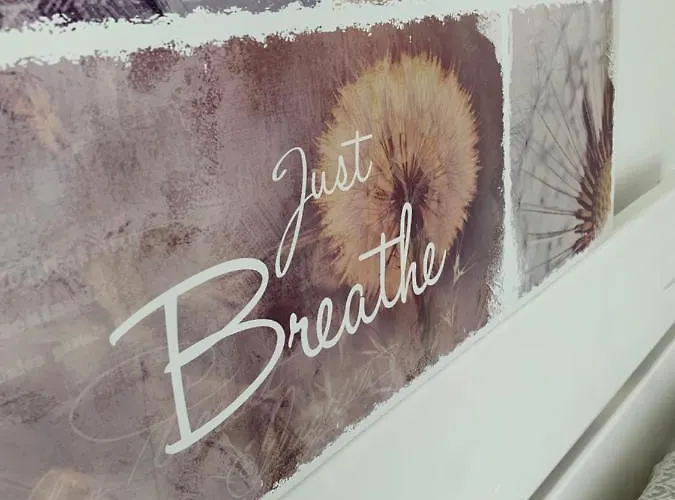 Mit Naturblick In Appartamento *